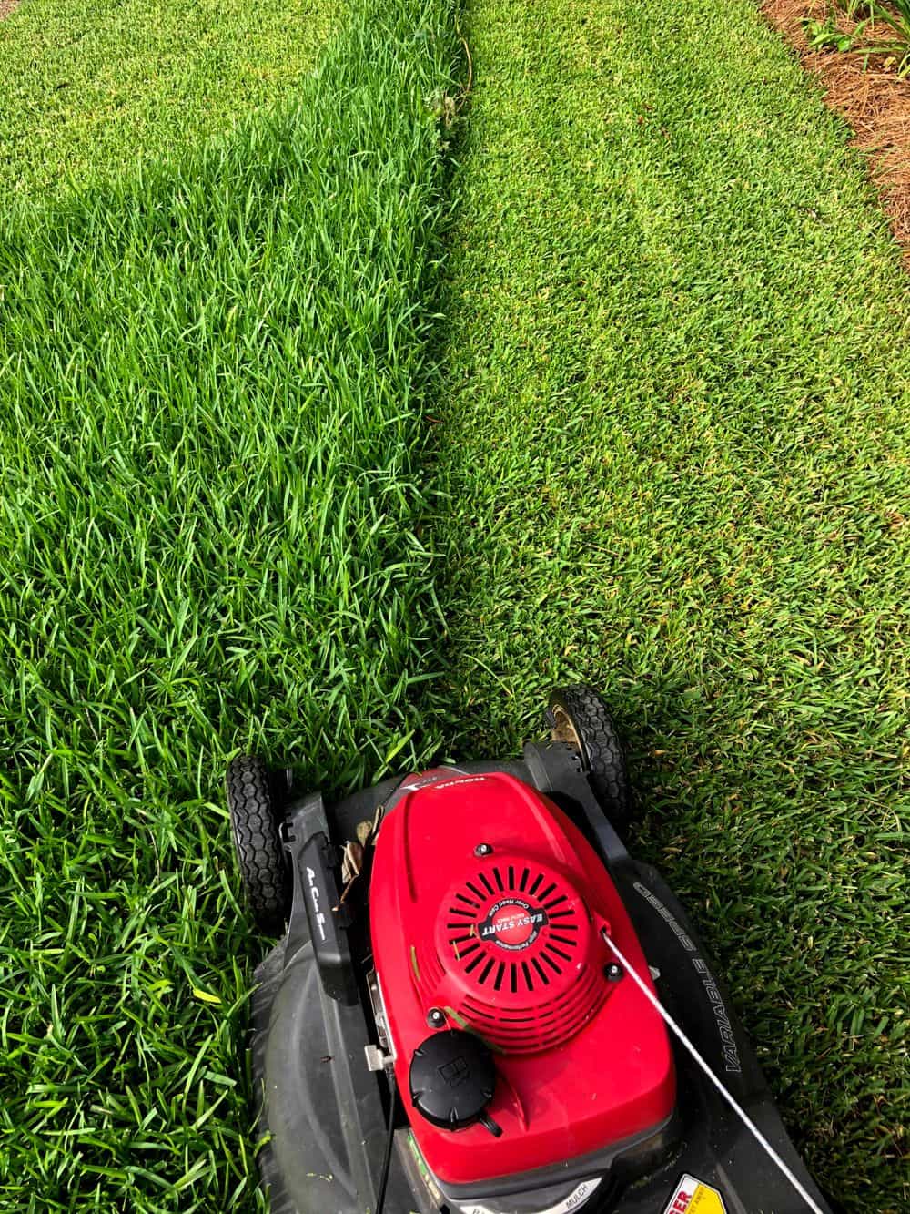Hero image for Proficient Lawn & Outdoor Services