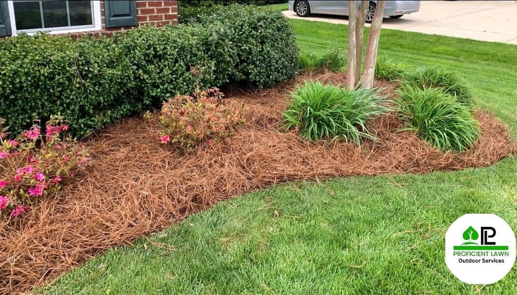Gorgeous Garden Bed Revitalization in Tallahassee