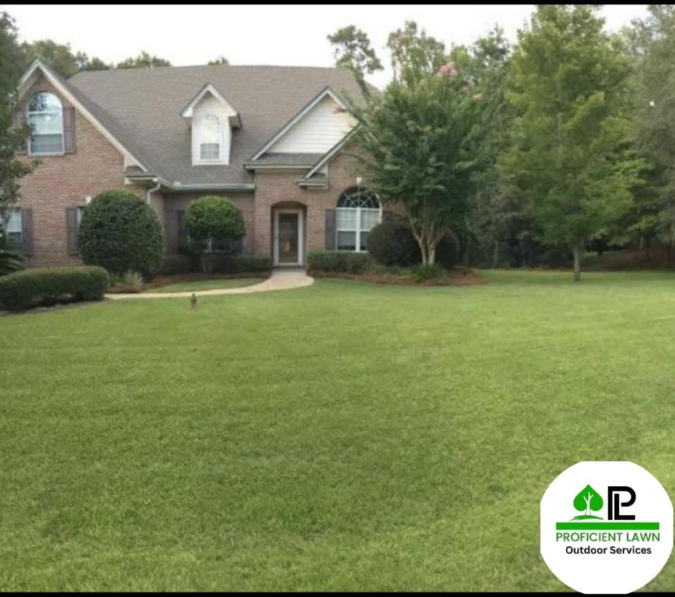 Stunning Lawn Makeover in Tallahassee