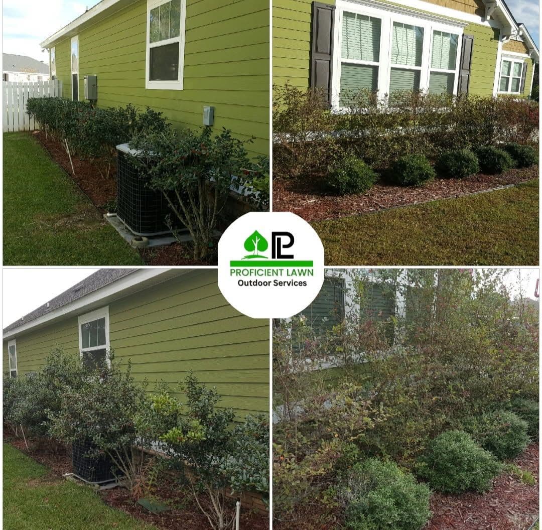 Trimming and Clean-Up in Southwood image