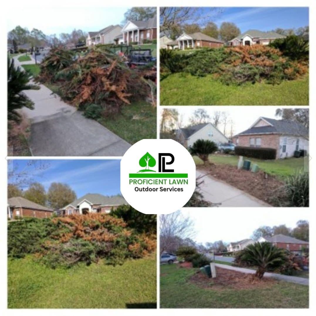 Revitalize Your Yard with Expert Trimming image