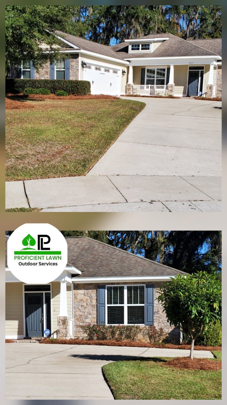 Southwood Lawn Transformation with Mulching Expertise image